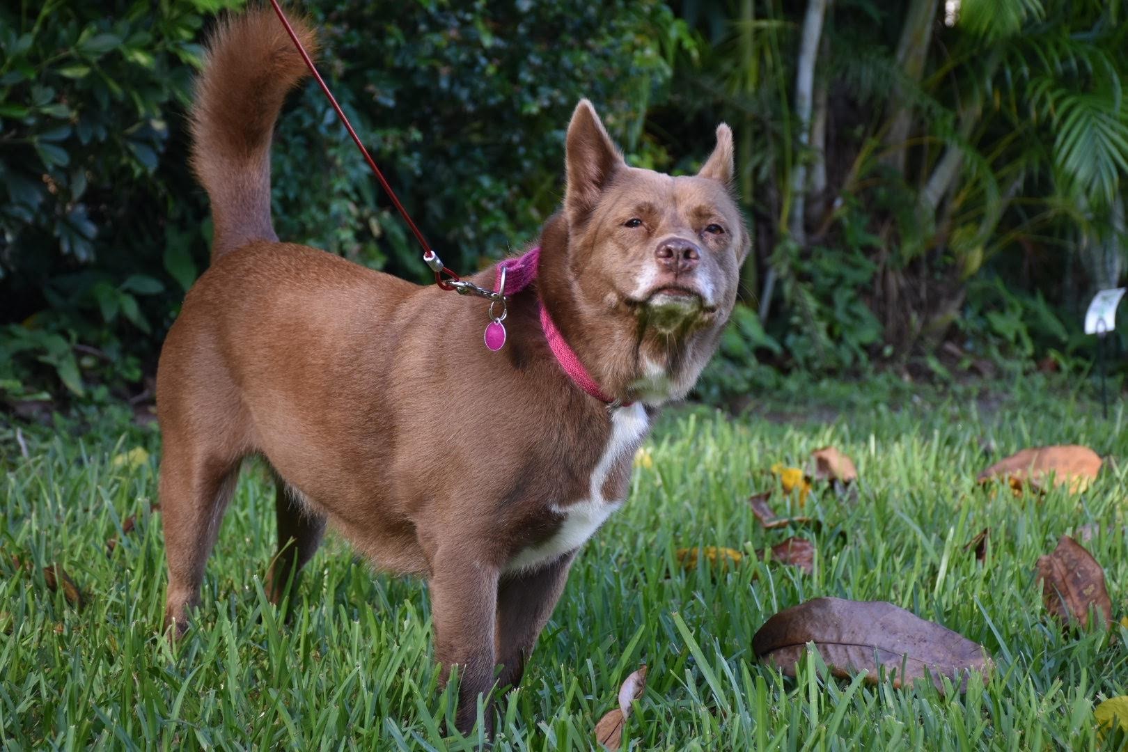 Darla