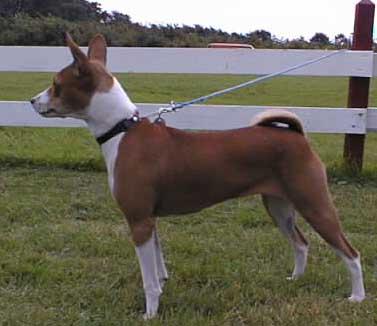 Zulu