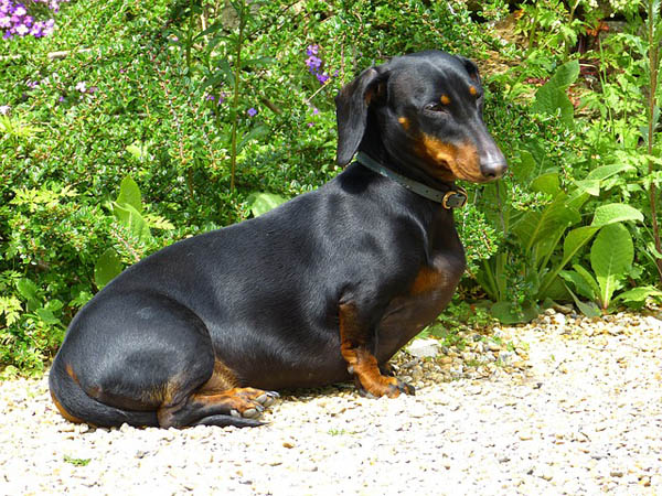 Quincy