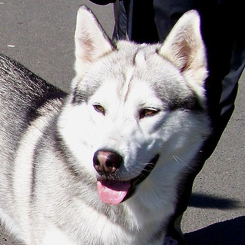 Hera